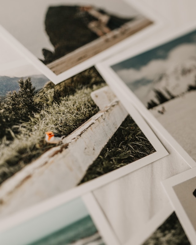 Moments you'll remember long after they end.